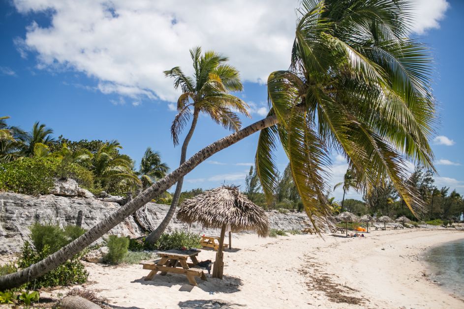 Bikini campaign photographed ib the Bahamas with Maggie Rawlins & Natalie Roser by Samuel Black